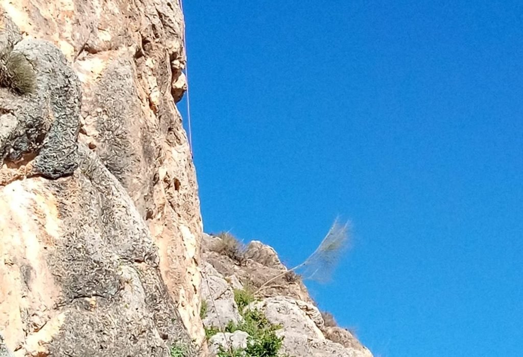 Escalada